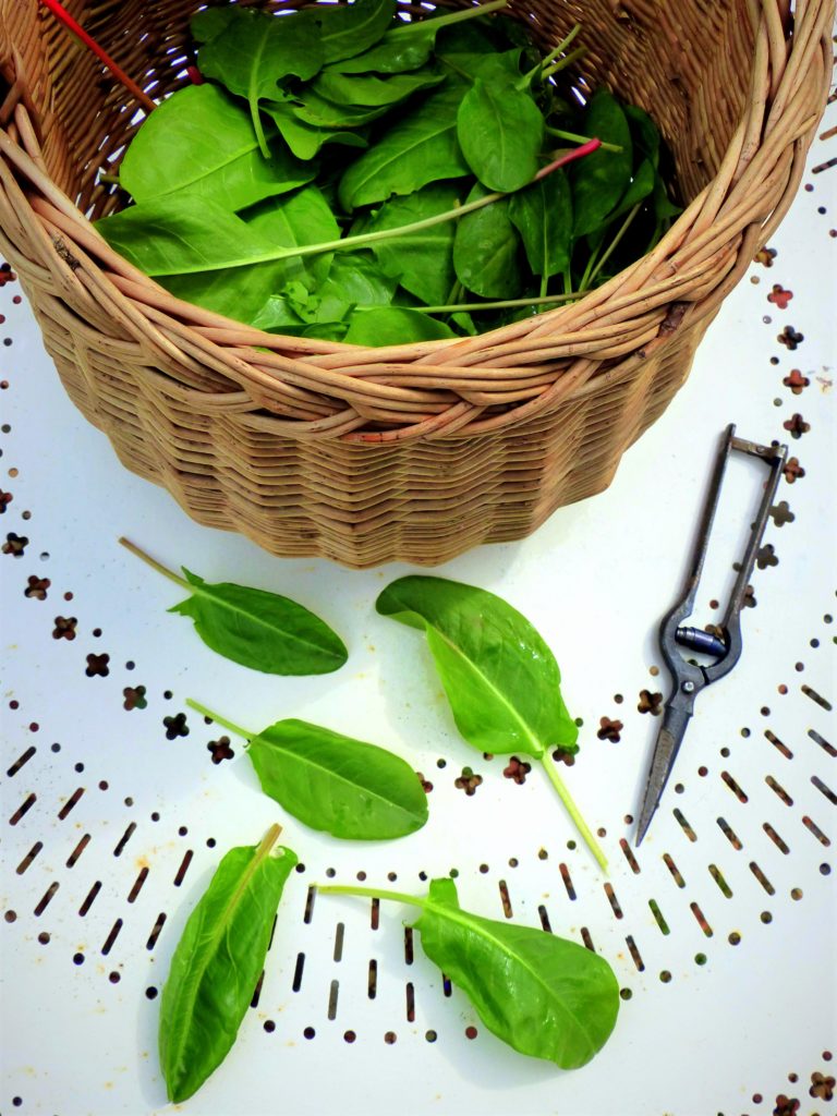 Un rédacteur web culinaire dans l'Oise !