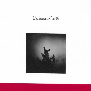 L'oiseau-forêt de Michel Munier, un livre puissant et bouleversant pour tous les amoureux de la nature.