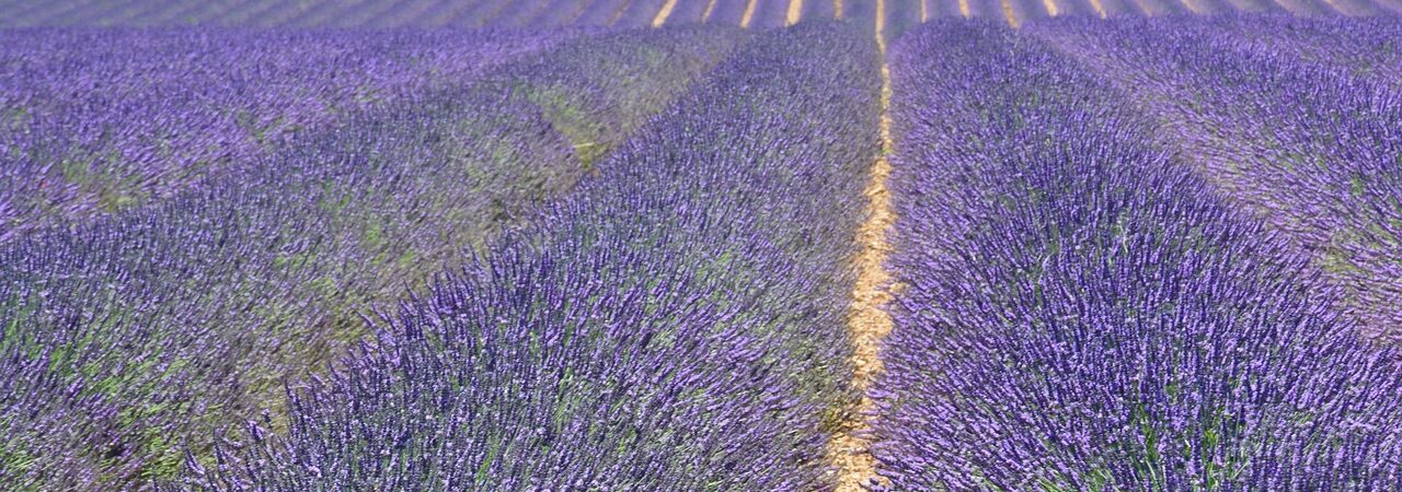 Votre biographe dans les Alpes de Haute Provence donne vie àvotre histoire dans un livre construit selon vos attentes !